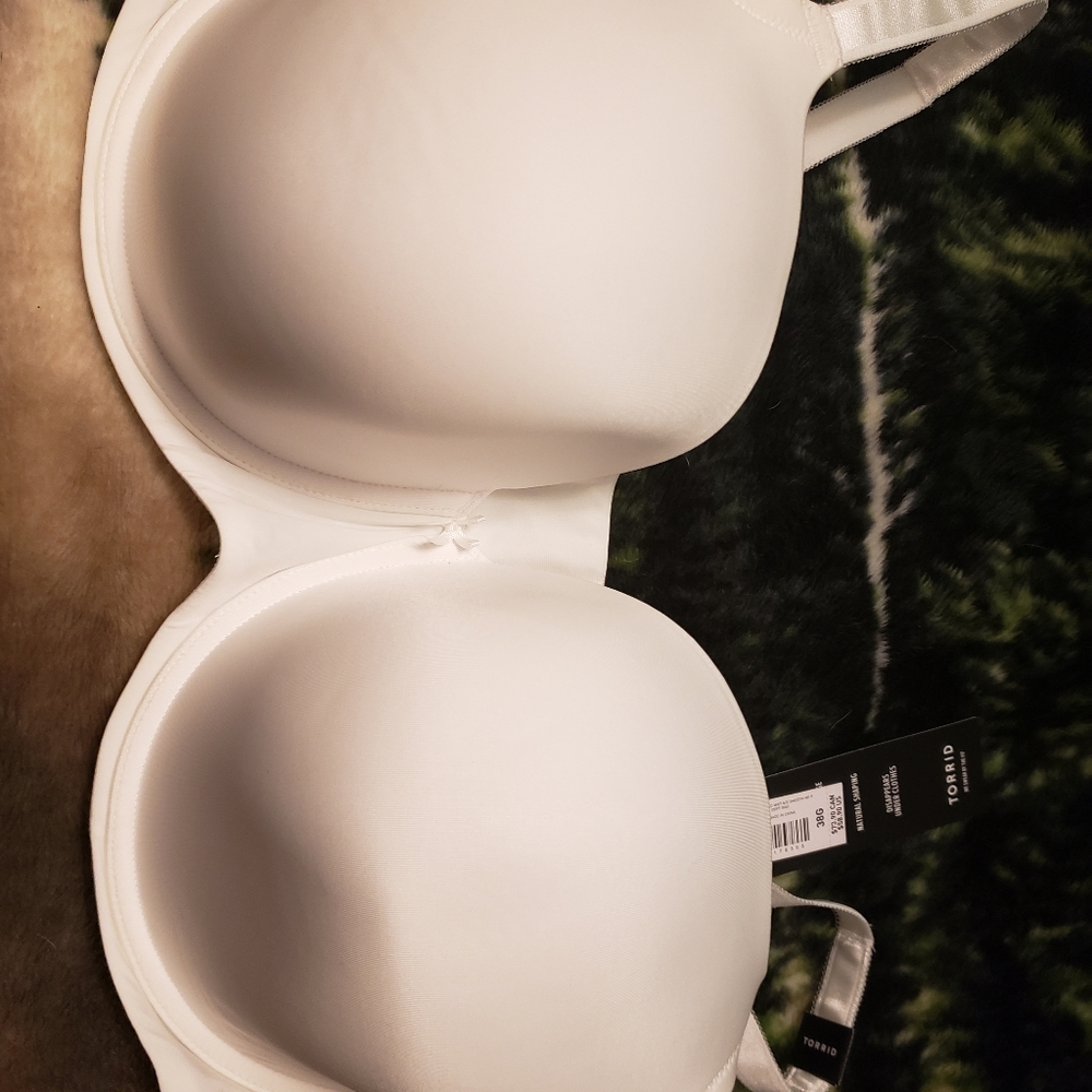 Torrid bra